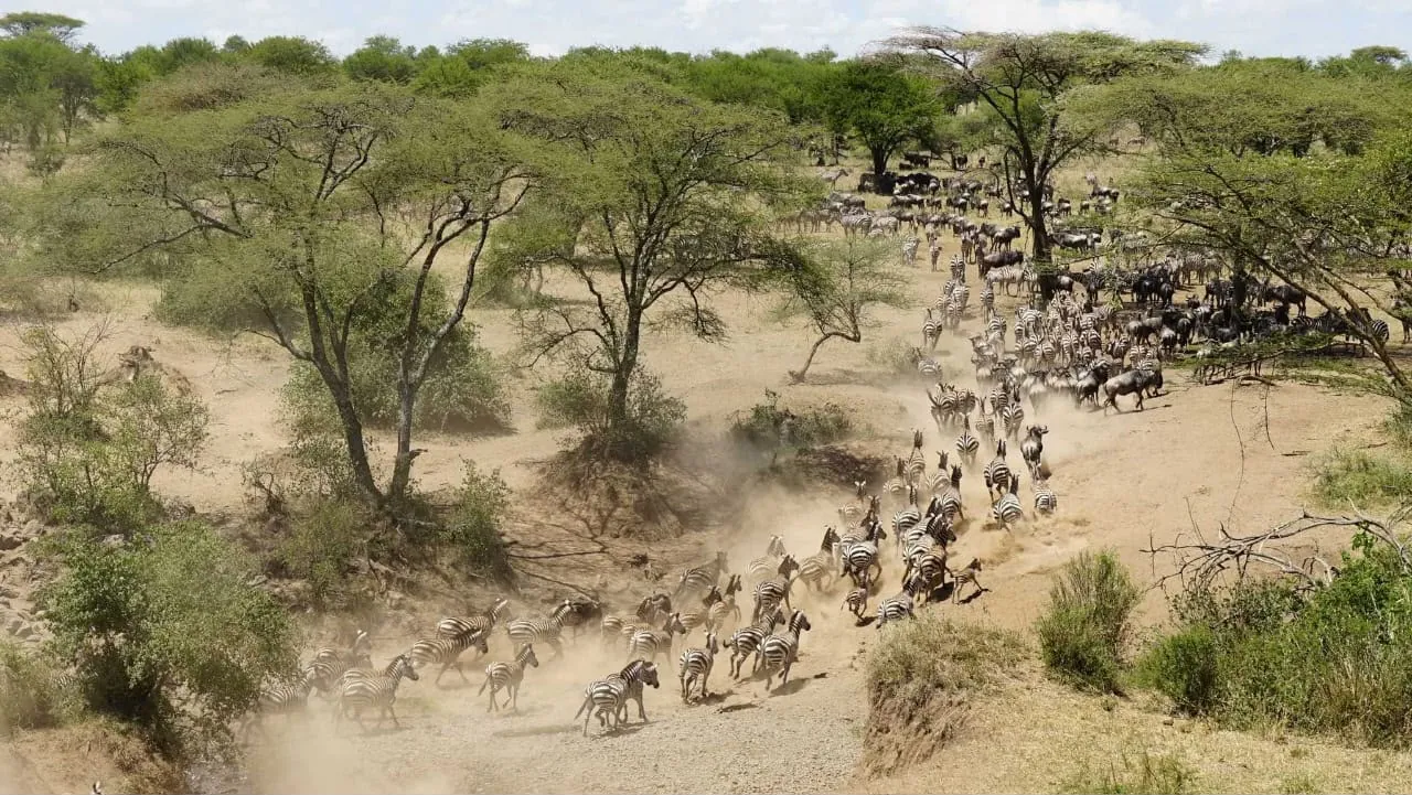 9 Tage Hadzabe Stamm & Wandersafari Tansania