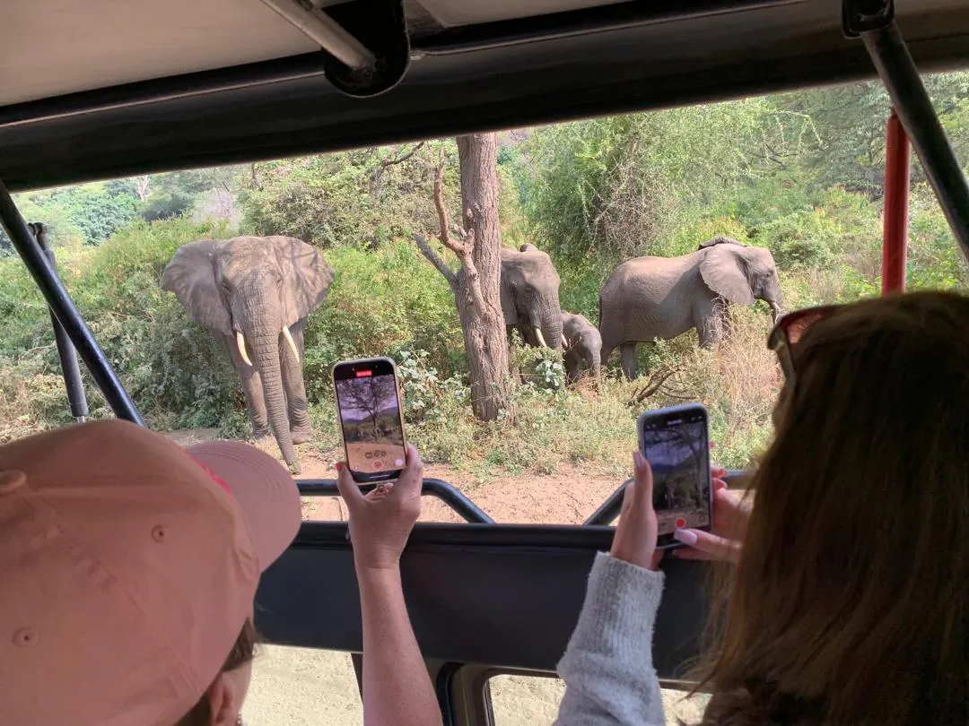 7 Tage Tansania Gruppen-Joining Safari