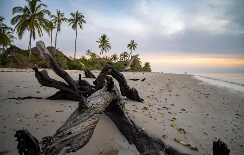 Saadan National Park 03